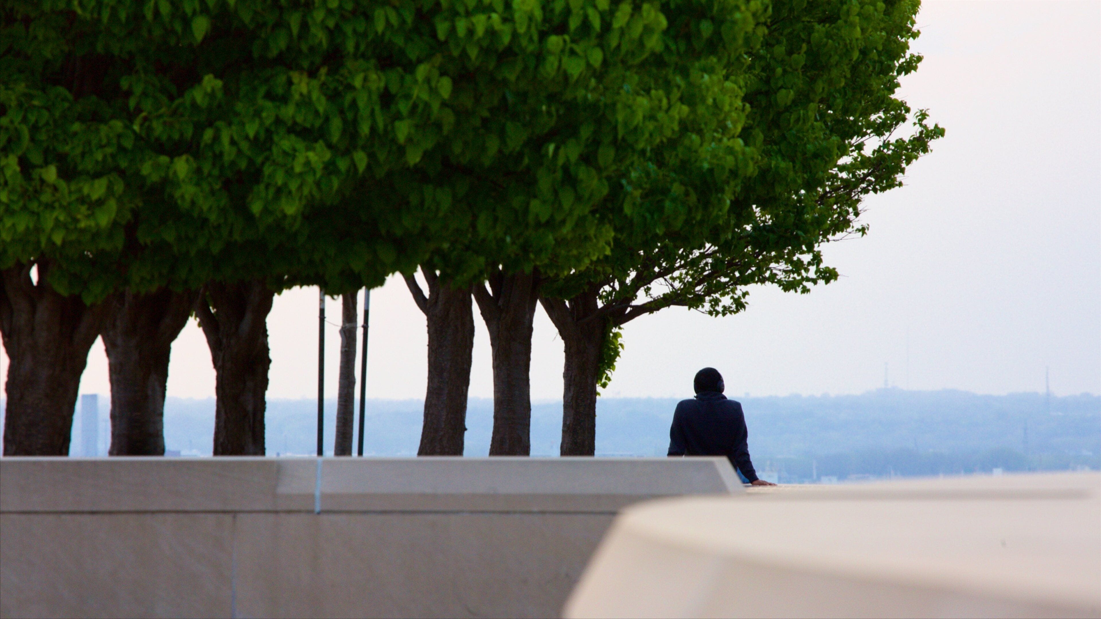 Liberty Memorial which includes views as well as an individual male