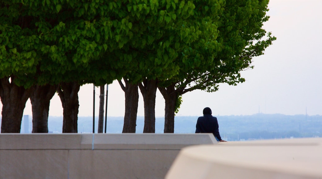 Liberty Memorial which includes views as well as an individual male