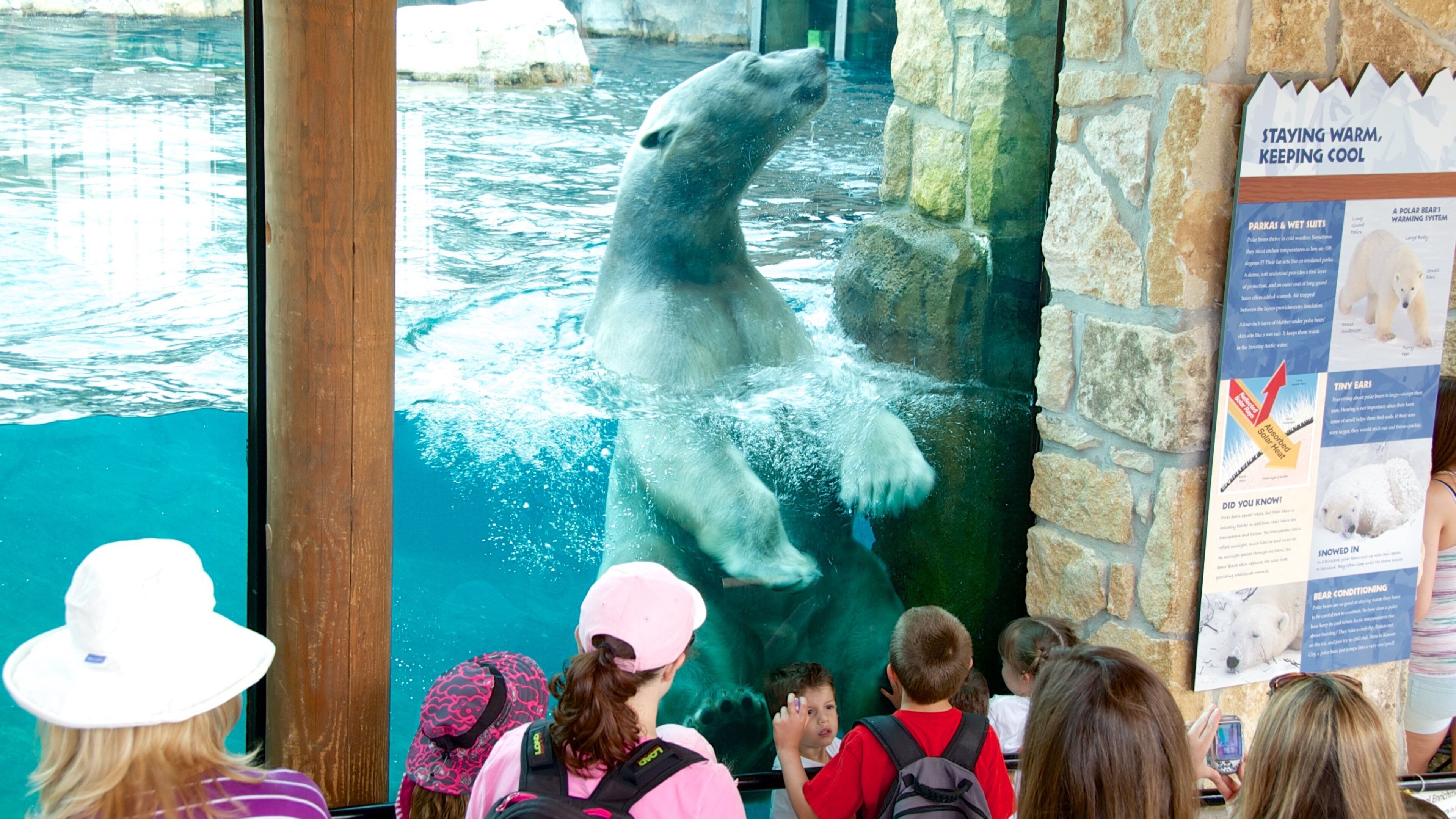 堪薩斯城動物園 呈现出 動物園裡的動物 和 海洋生物 以及 一小群人