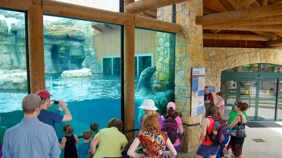 Kansas City Zoo featuring marine life, interior views and zoo animals