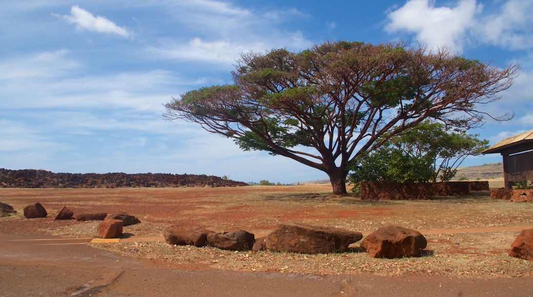 Russian Fort Elizabeth which includes tranquil scenes