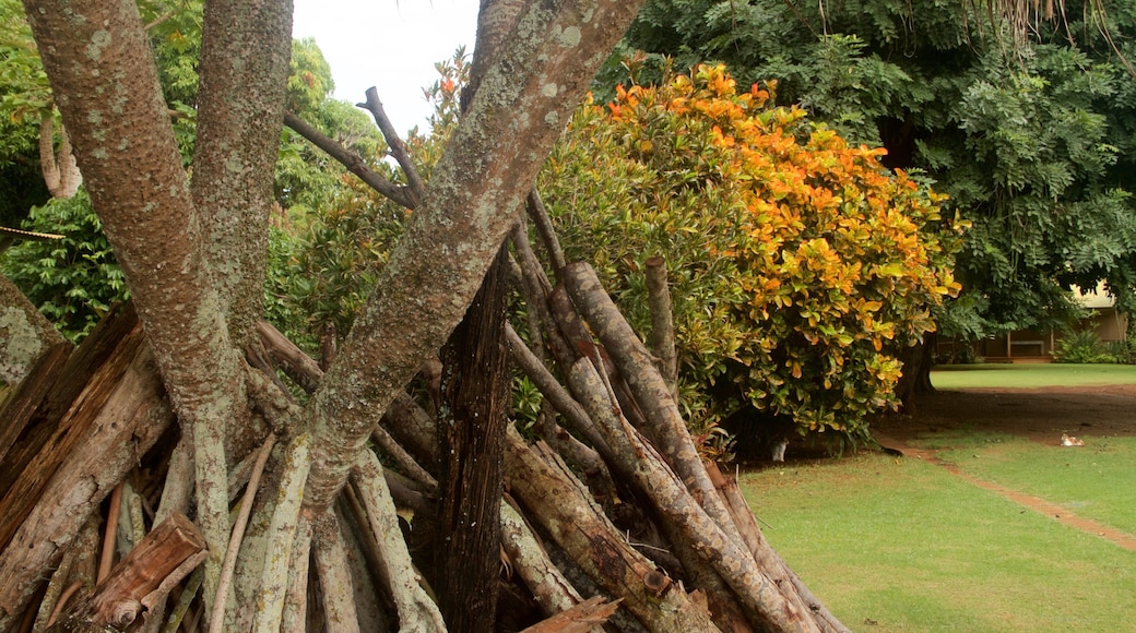 Grove Farm Homestead featuring wildflowers and a garden