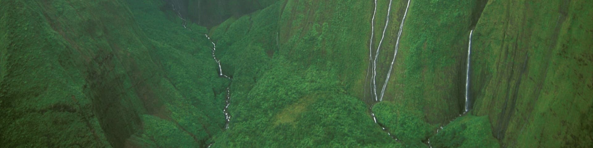 Mt. Waialeale which includes mist or fog, a gorge or canyon and a waterfall