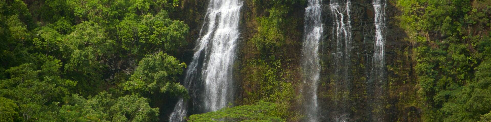 Opaekaa Falls which includes a waterfall and forests