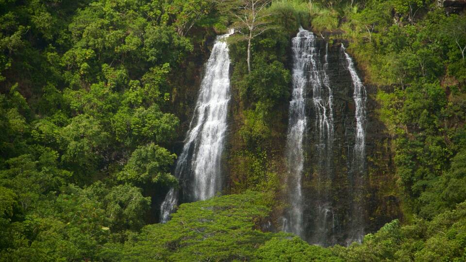 Opaekaa Falls which includes a waterfall and forests