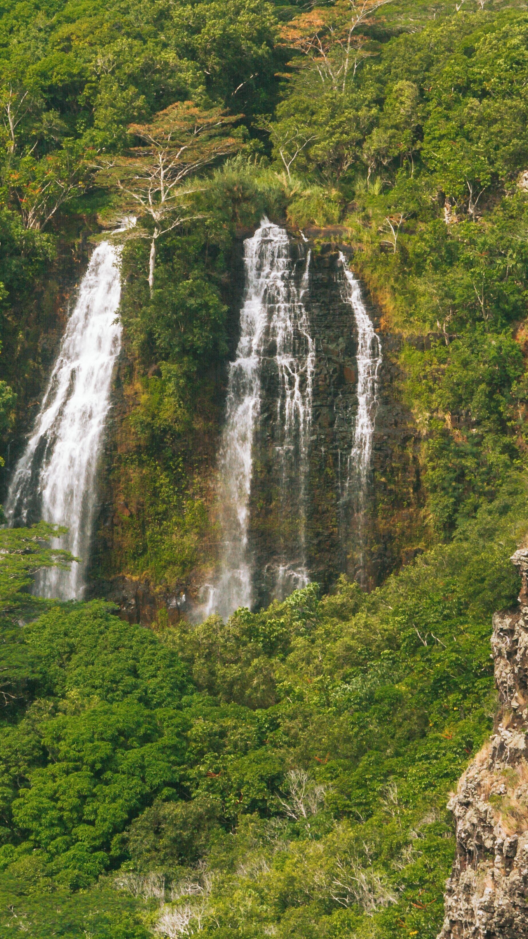 Discover Opaekaa Falls cascading through lush greenery in Wailua Homesteads, Kapaa, Hawaii during a bright sunny day