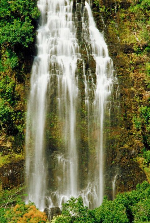 A waterfall cascading down a rocky cliff surrounded by dense green foliage.