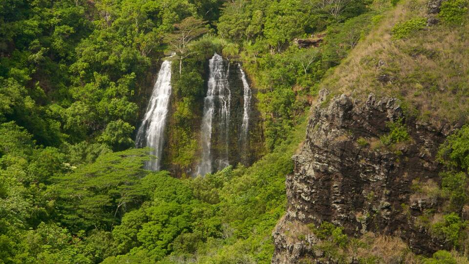 Una cascada fluye por una verde ladera.