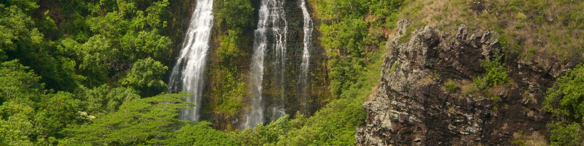 Opaekaa Falls showing a waterfall and forest scenes
