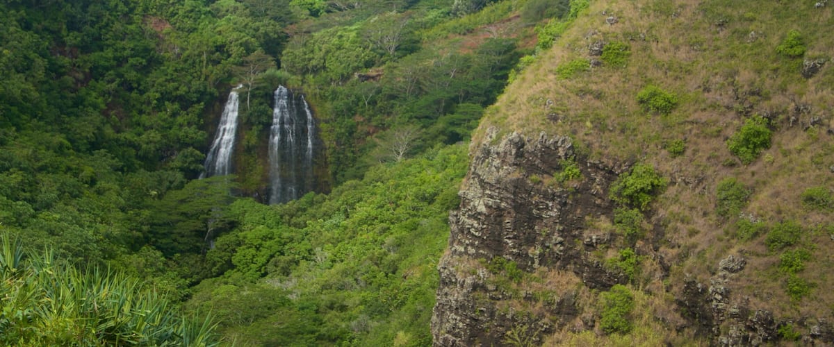 Cascade Opaekaa Falls qui includes montagnes et chute d\'eau