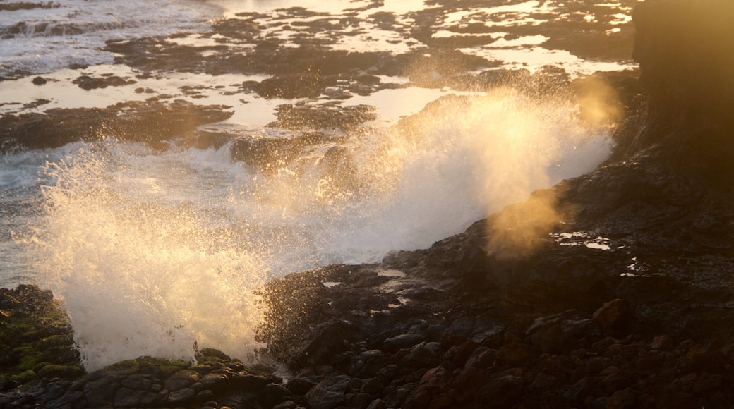 Spouting Horn joka esittää kivinen ranta ja yleiset rantanäkymät