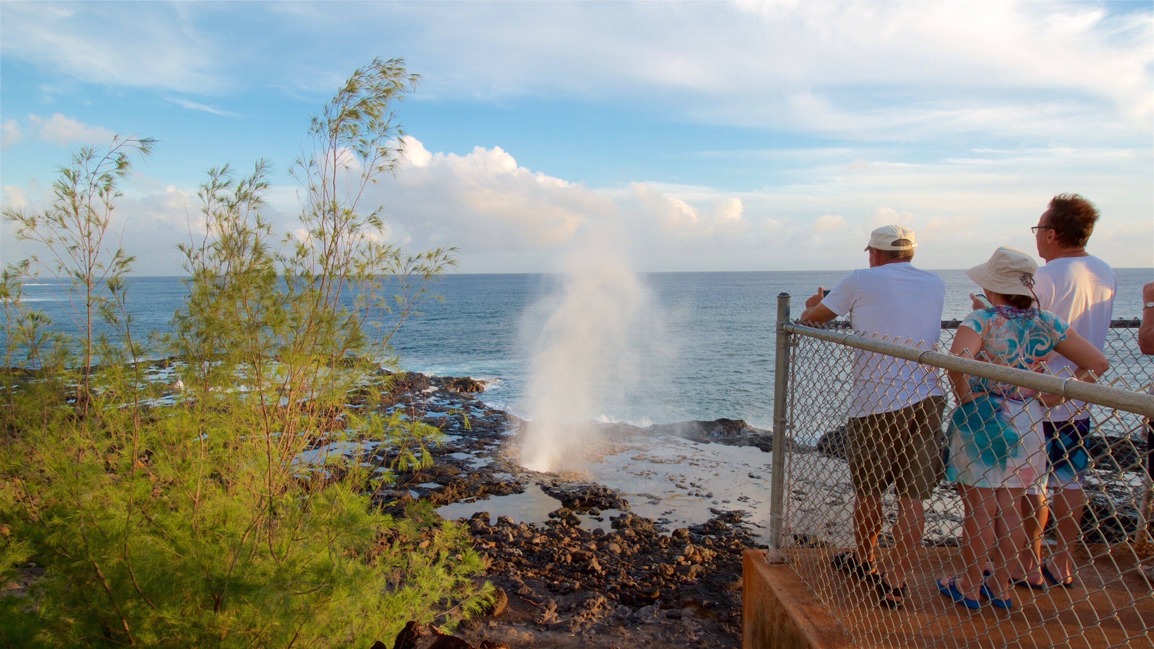 Spouting Horn johon kuuluu näkymät, karu rannikko ja yleiset rantanäkymät