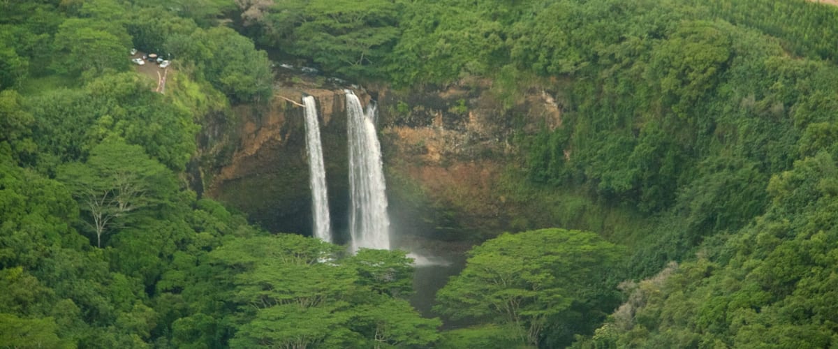 Cascadas de Wailua ofreciendo escenas forestales y una cascada