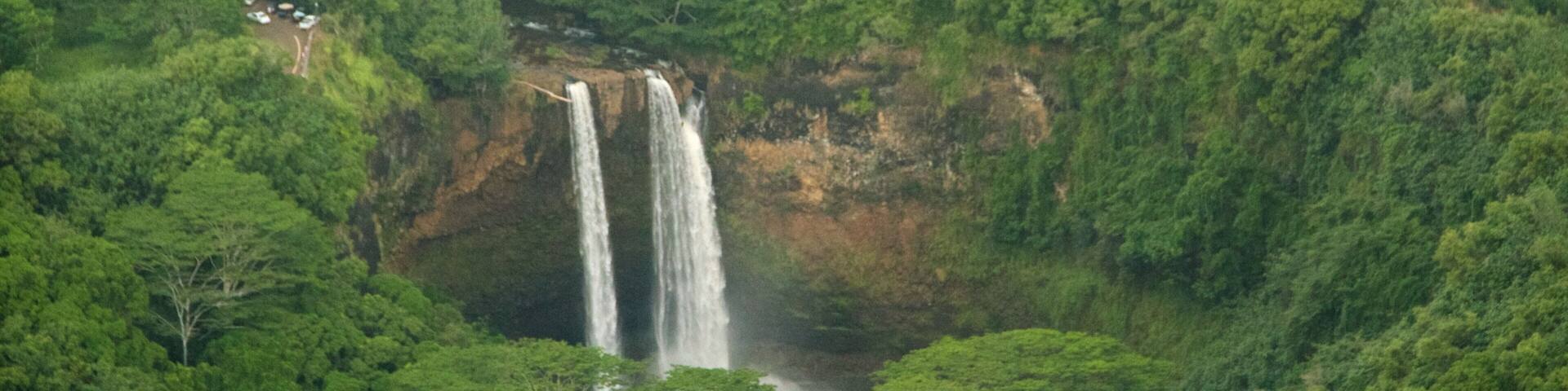 Cascadas de Wailua ofreciendo escenas forestales y una cascada