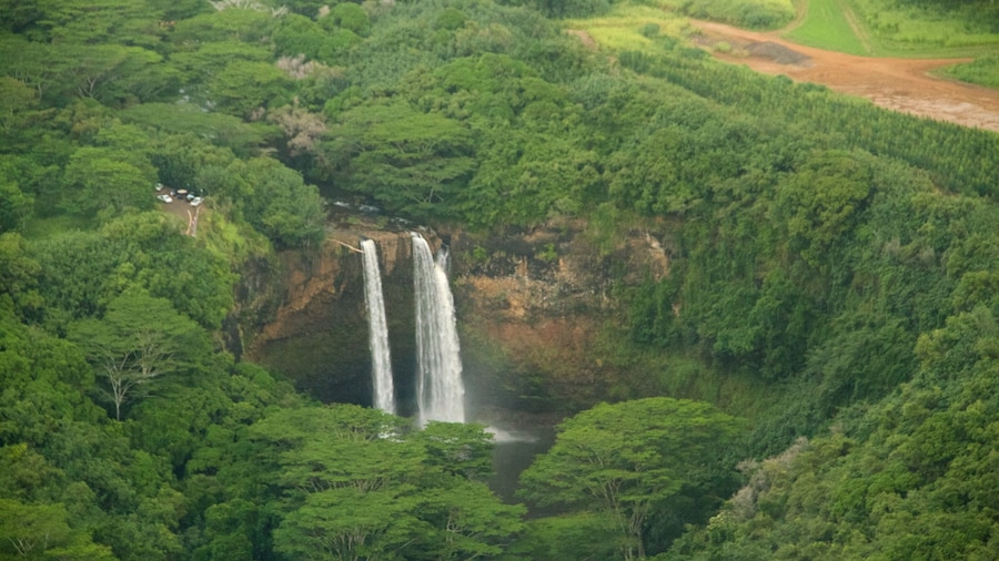 Wailua Falls som inkluderer vannfall og skoglandskap