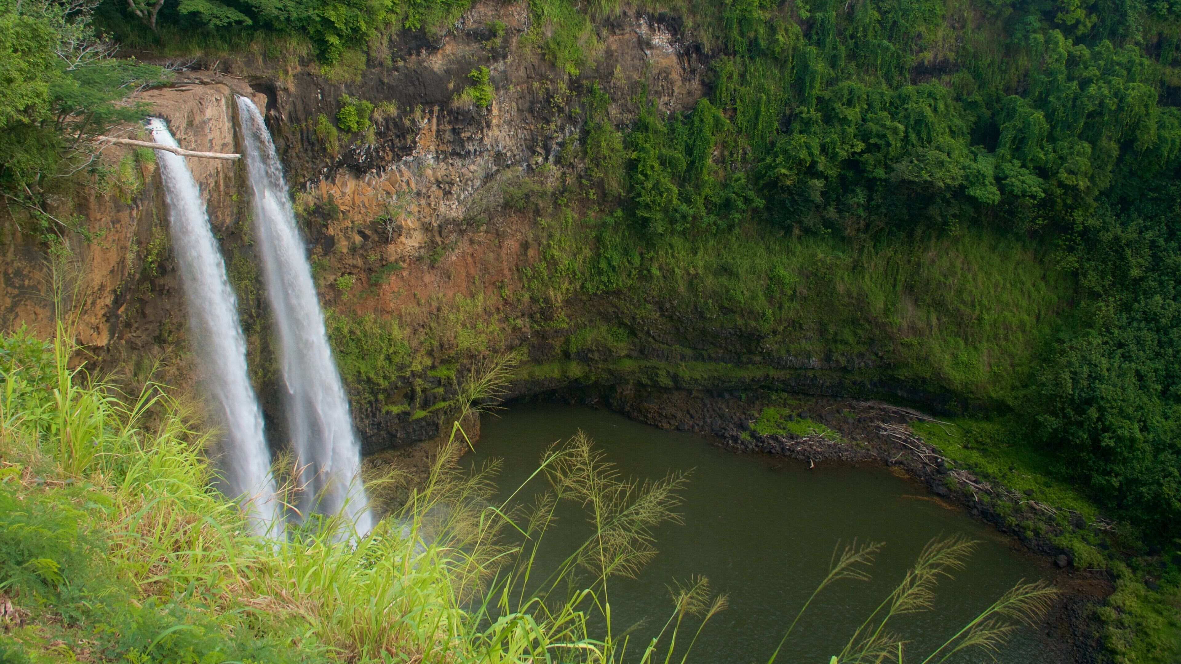 Wailua Falls which includes a waterfall