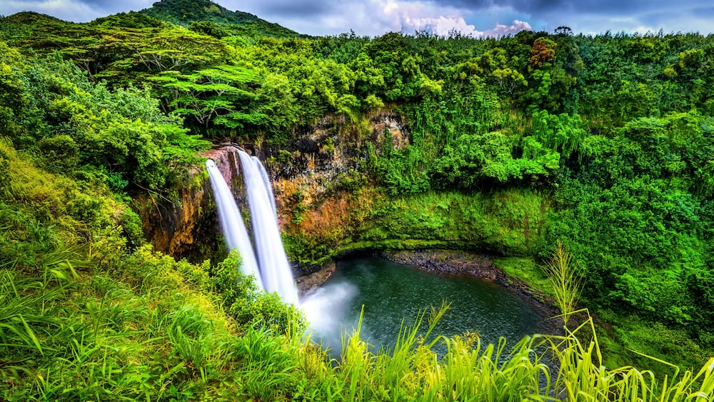A waterfall cascading into a pool surrounded by lush green forest.
