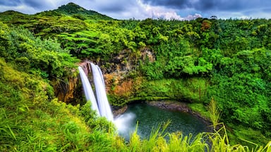 A waterfall cascading into a pool surrounded by lush green forest.