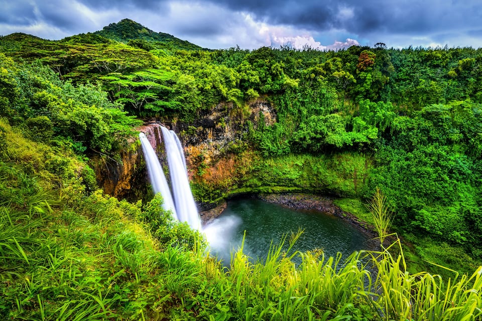 Uma cascata deságua em uma piscina cercada por uma floresta exuberante.