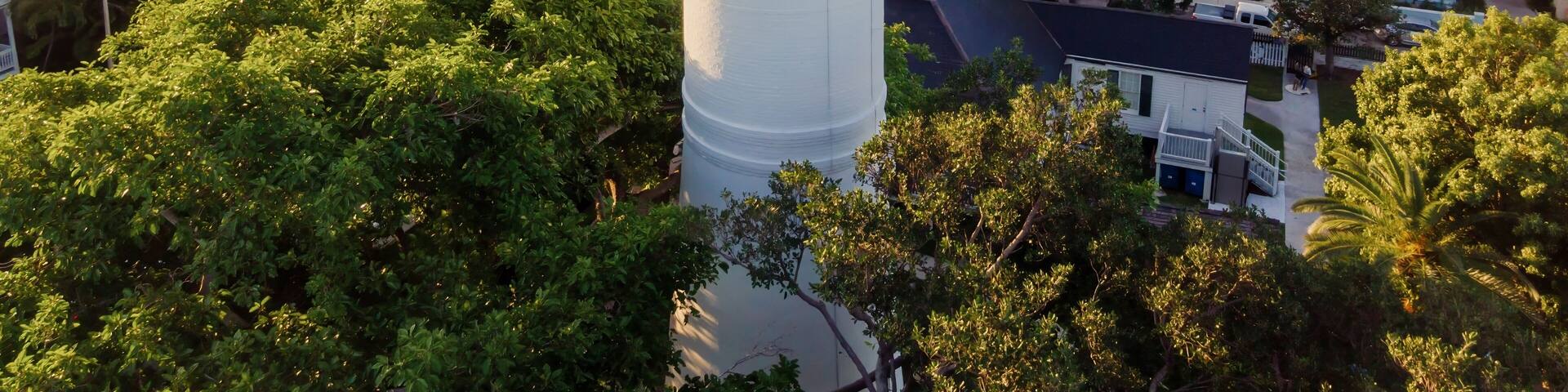 A white lighthouse with a black top, surrounded by lush greenery and residential buildings.