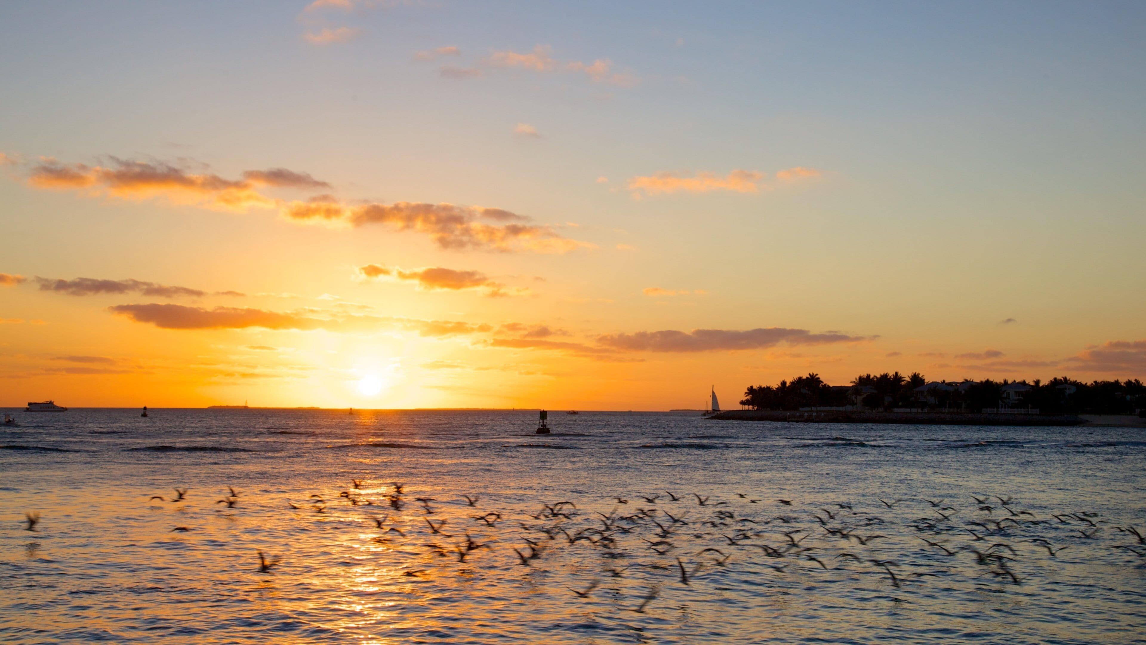 Mallory Square which includes general coastal views and a sunset