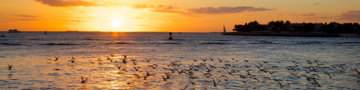 A sunset over a calm sea with birds flying, a distant sailboat, and a shoreline with buildings.