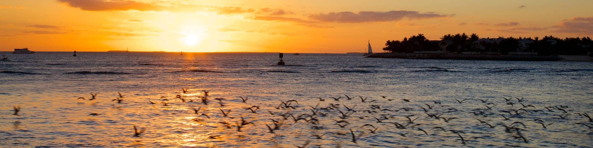 A sunset over a calm sea with birds flying, a distant sailboat, and a shoreline with buildings.