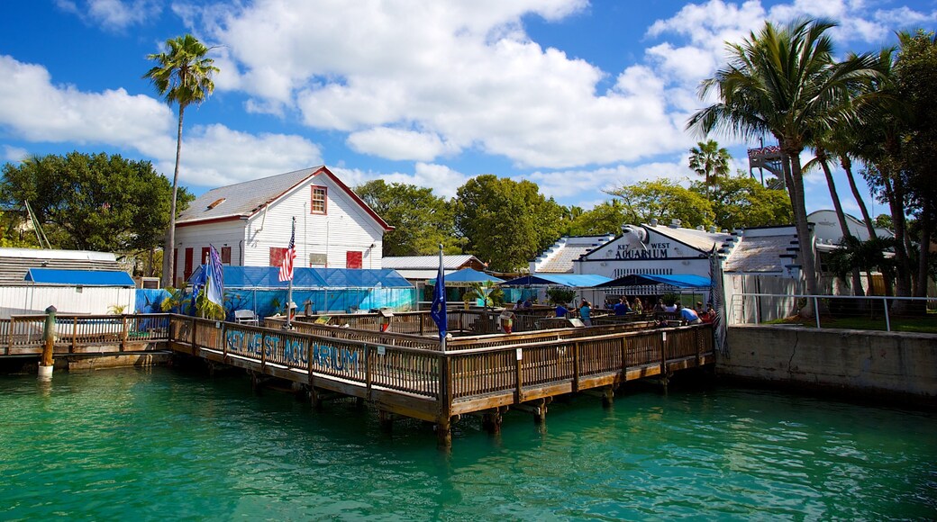 Key West Aquarium showing marine life