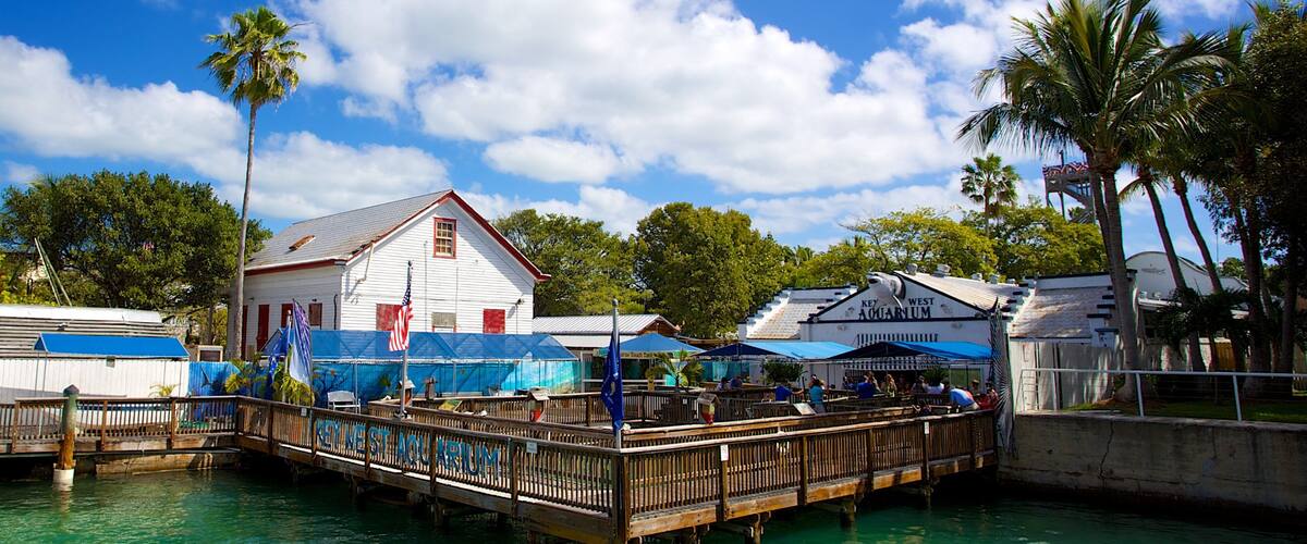 Key West Aquarium showing marine life
