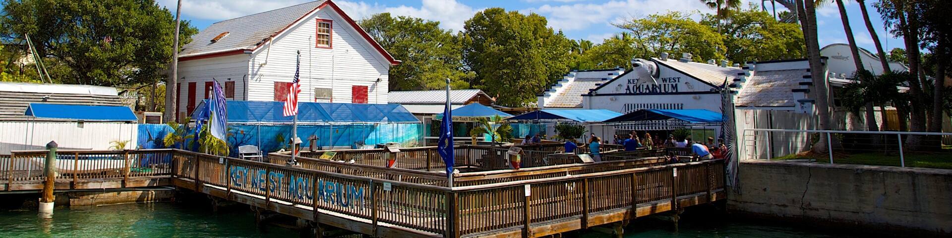 Acuario de Cayo Hueso ofreciendo vida marina