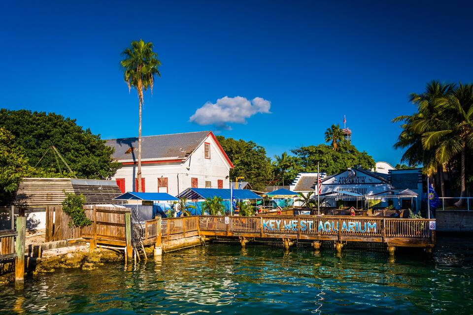 A wooden dock with the text "KEY WEST AQUARIUM" leading into a body of water, surrounded by palm trees and a white building with a red roof.