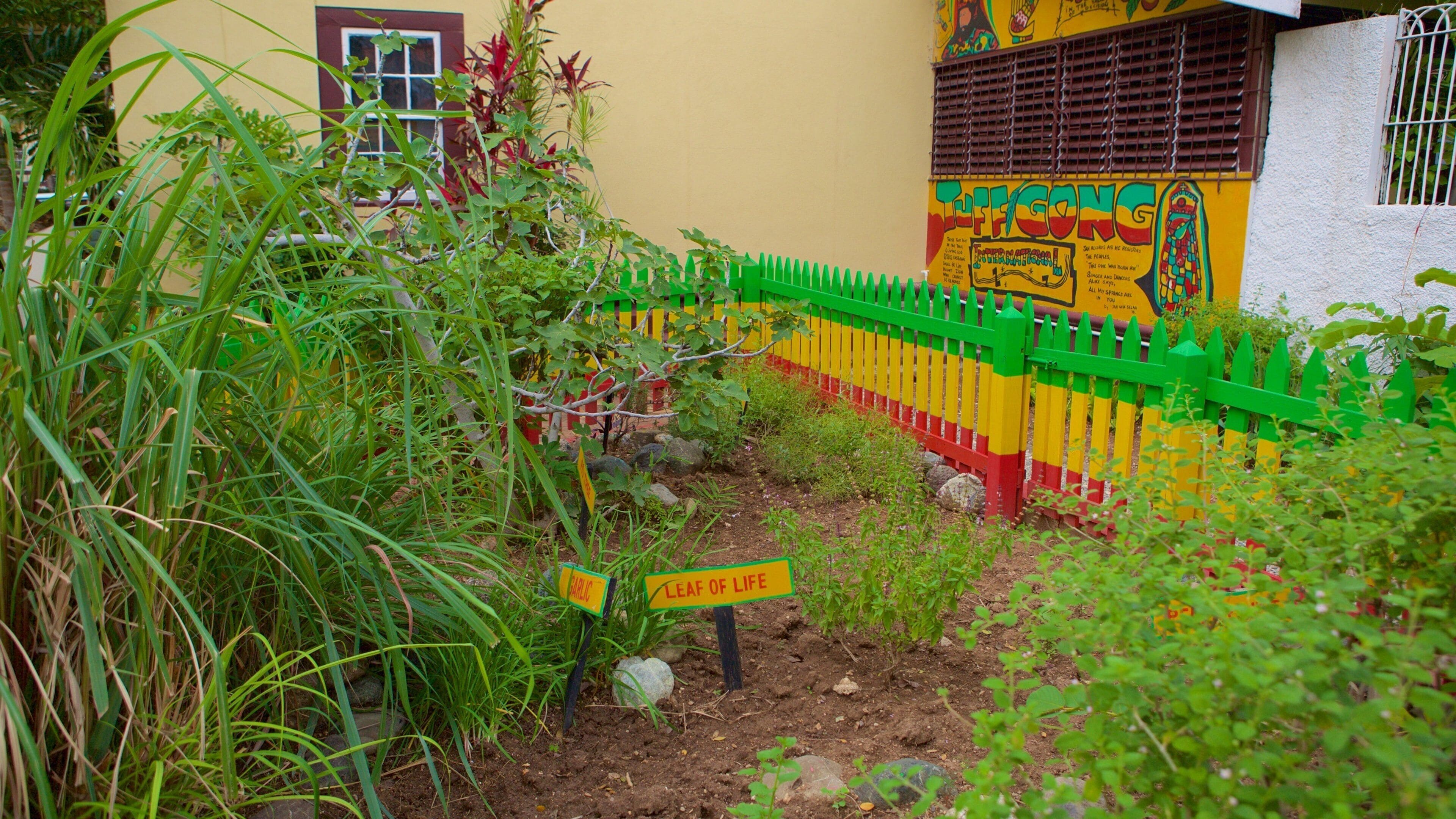 Bob Marley-museet fasiliteter samt hage