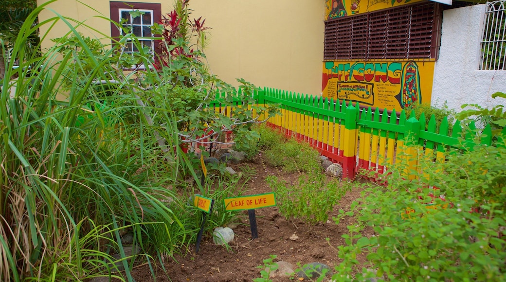 Bob Marley-museet fasiliteter samt hage