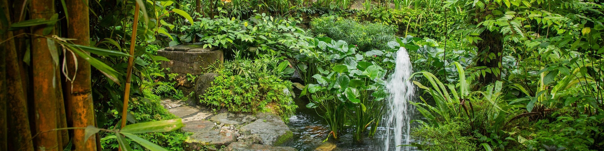 Butterfly Park which includes a fountain and a garden