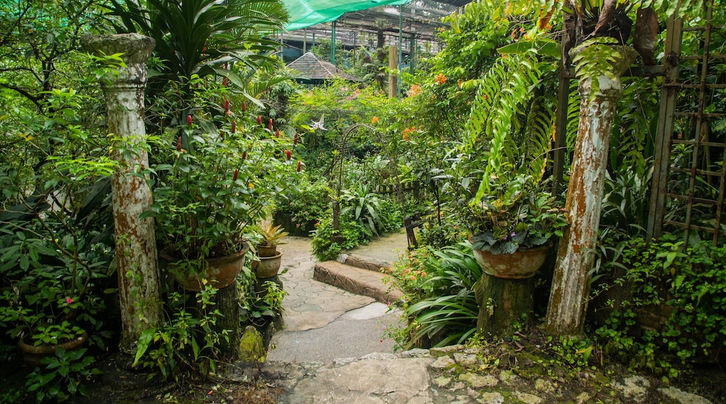Butterfly Park featuring a garden