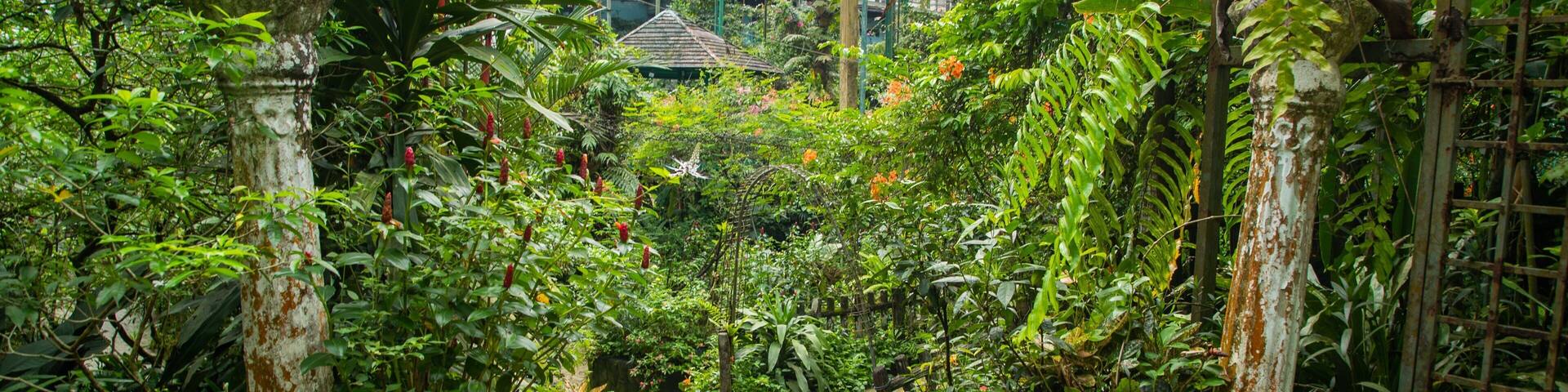 Butterfly Park featuring a garden