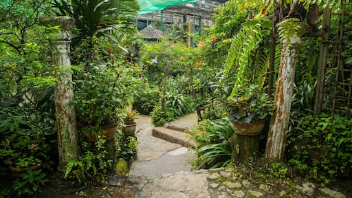 Butterfly Park featuring a garden