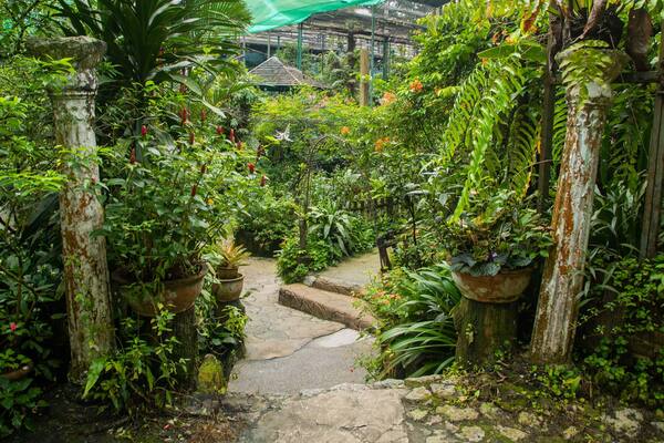 Butterfly Park featuring a garden