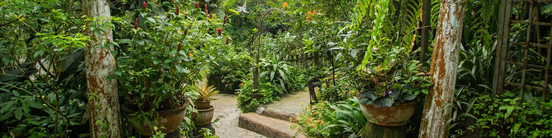 Butterfly Park featuring a garden