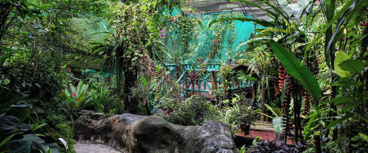 KualaLumpur_ButterflyPark_501426_01