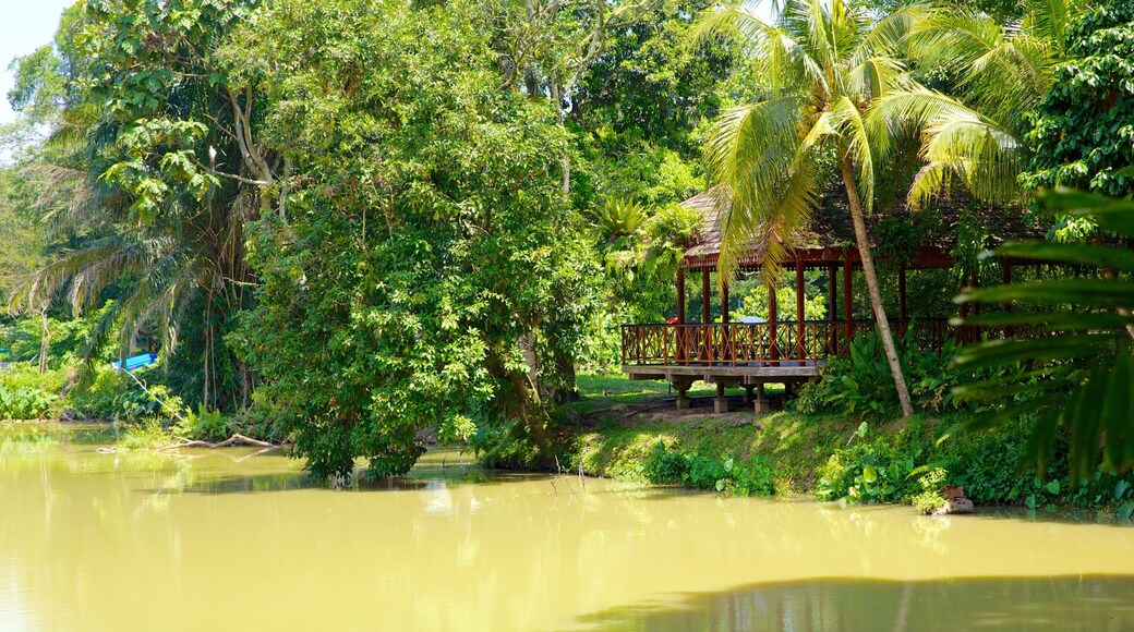 National Zoo showing zoo animals and a lake or waterhole