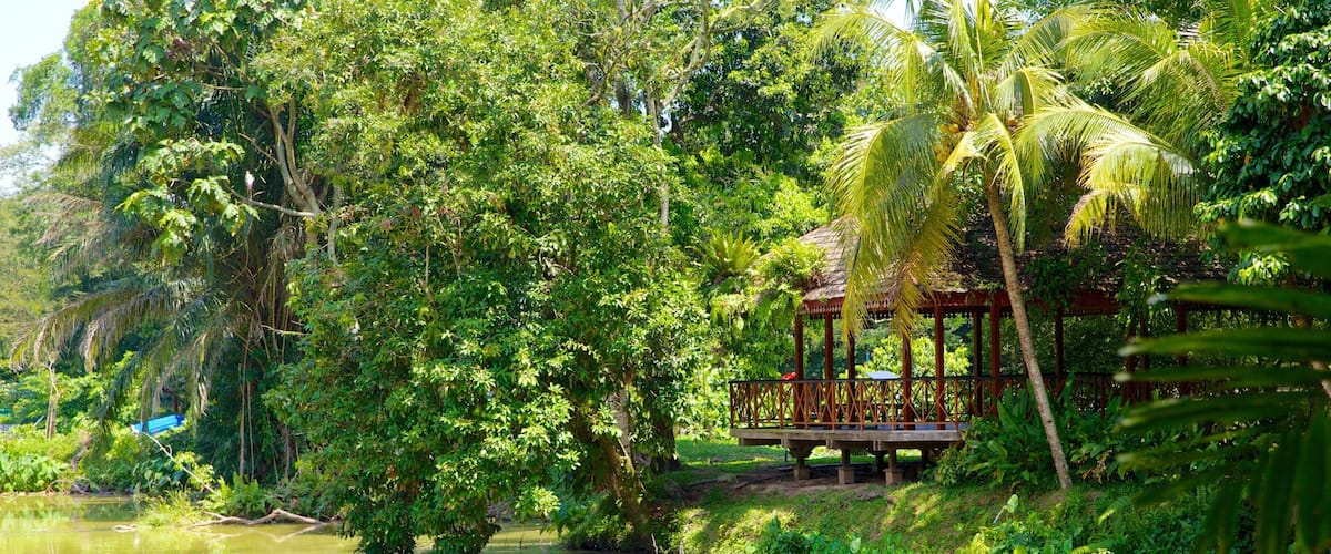 National Zoo showing zoo animals and a lake or waterhole