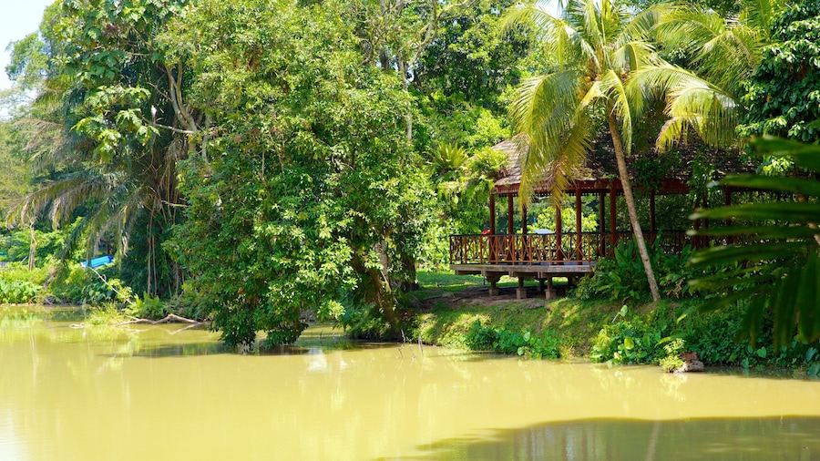 National Zoo showing zoo animals and a lake or waterhole