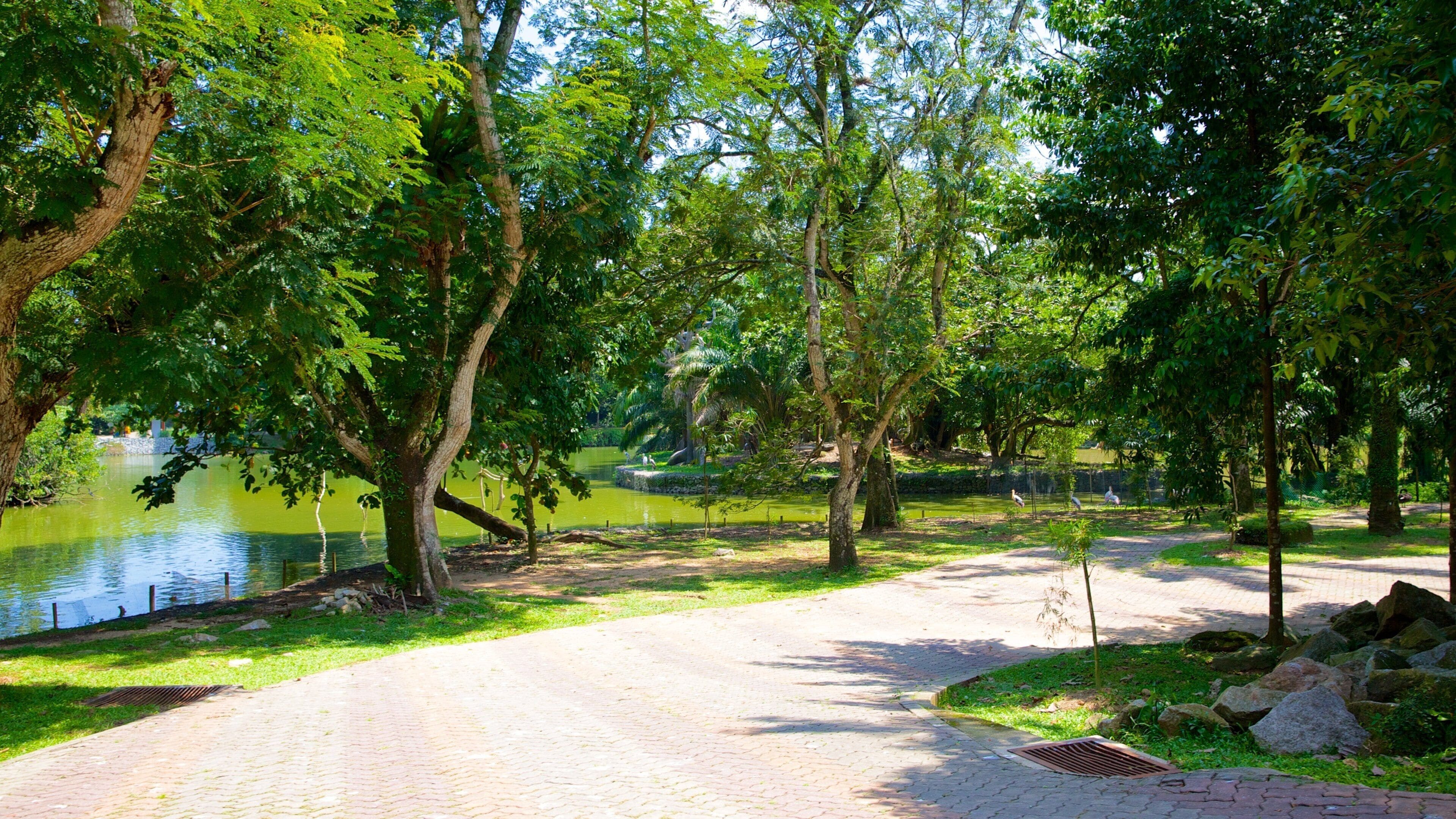 Zoo nazionale che include animali da zoo e parco