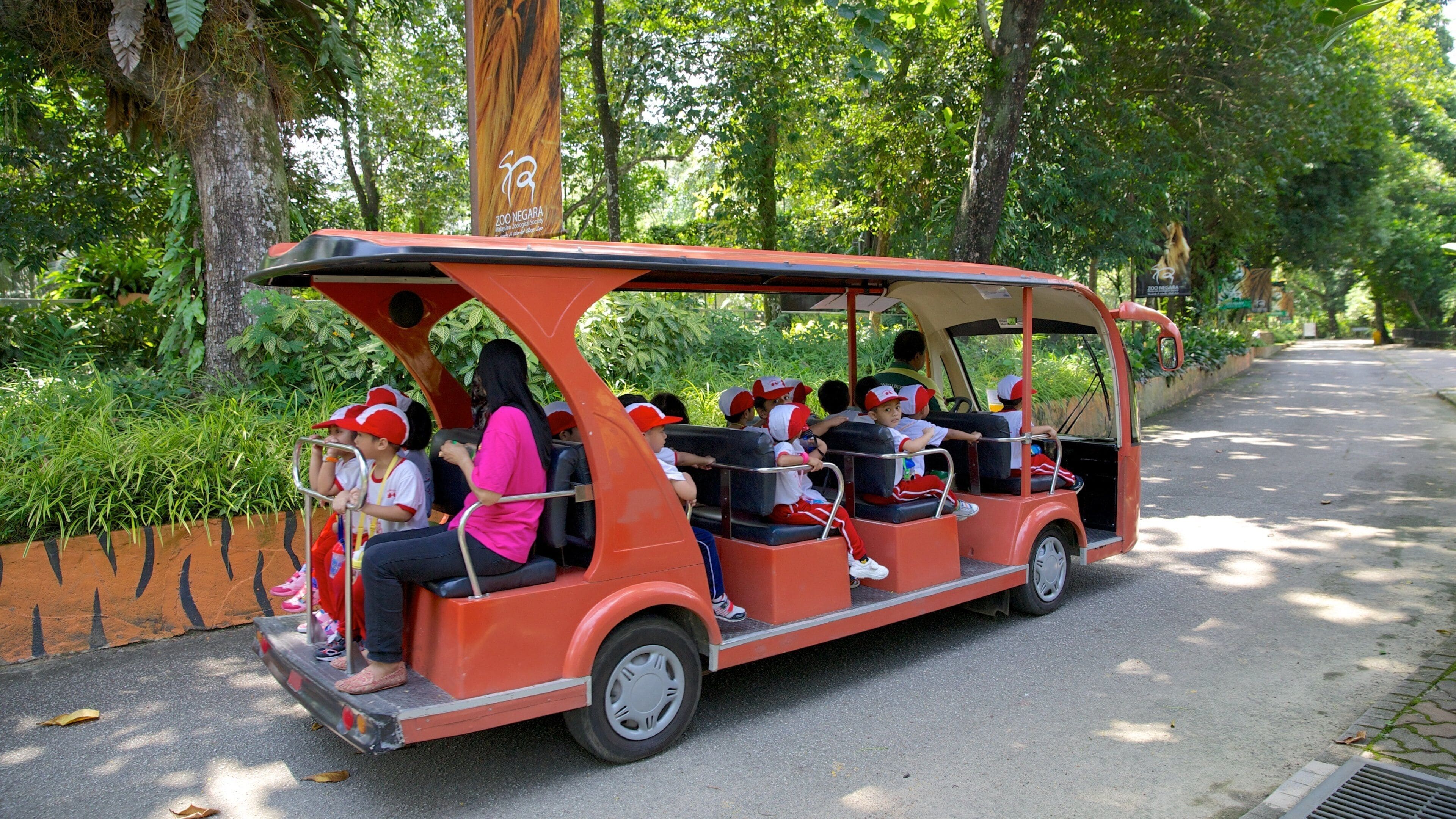 Zoo nazionale caratteristiche di animali da zoo e escursioni cosi come bambini