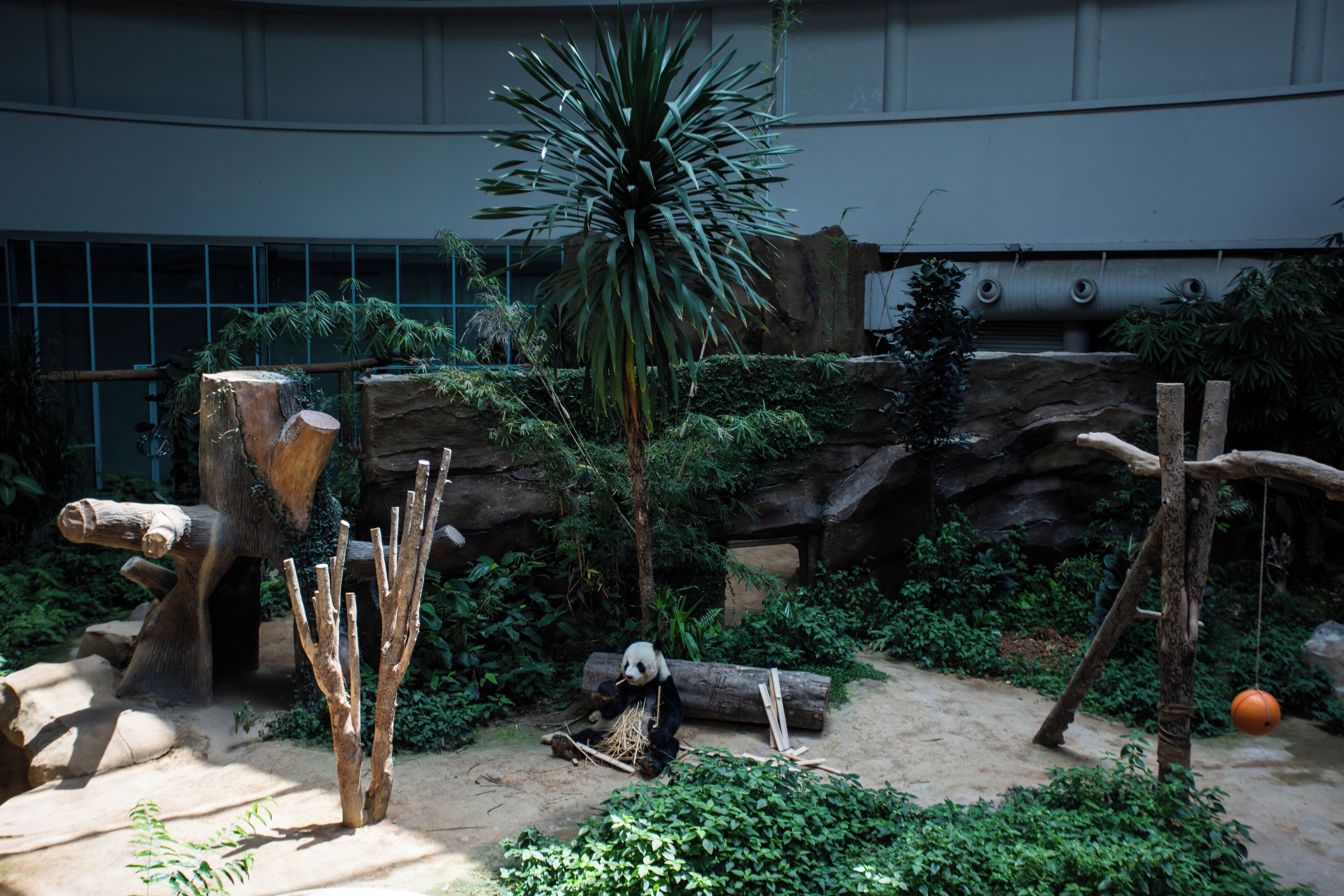 KualaLumpur_NationalZoo_501428_02