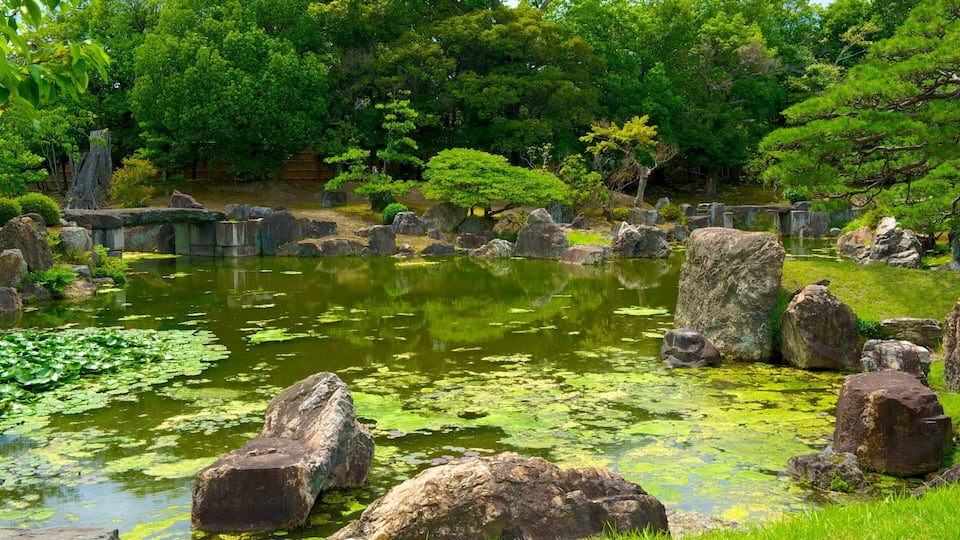 Nijo Castle showing a park and a pond