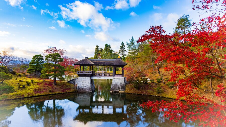 秋の日本庭園 京都 修学院離宮