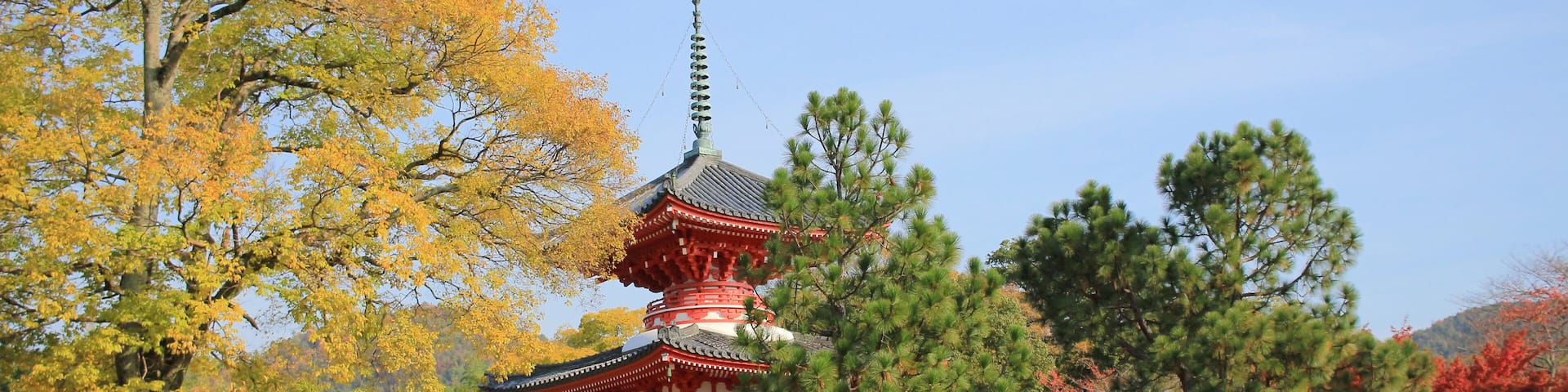 Daikaku-ji, kyoto japan fall season; Shutterstock ID 492295153