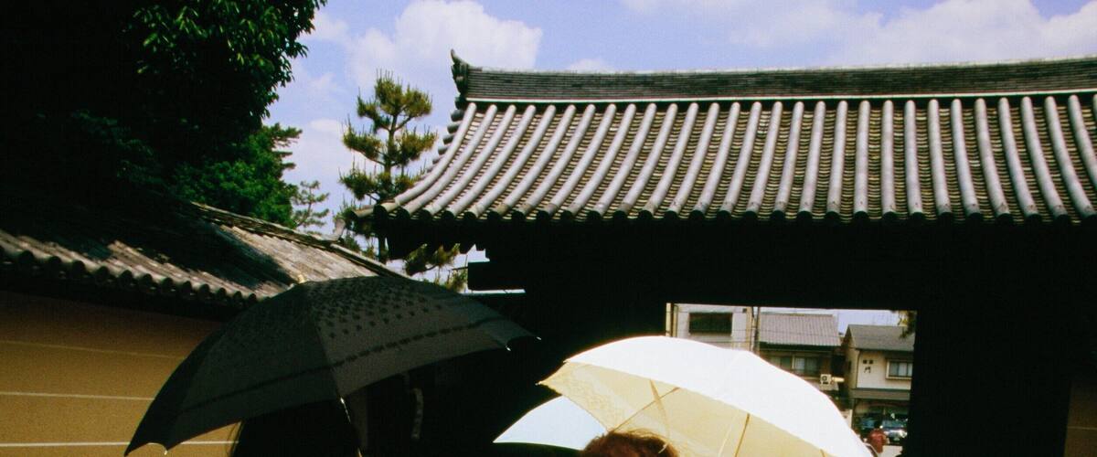 Rear view of two mid adult women walking on a walkway, Daitokuji Temple, Kyoto, Japan